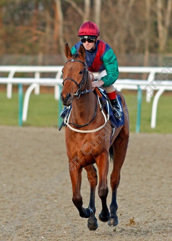 Peace-Treaty-0001 
 PEACE TREATY (Franny Norton)
Lingfield 9 Dec 2019 - Pic Steven Cargill / Racingfotos.com