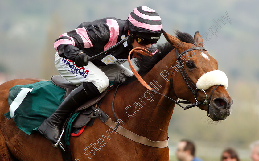 Kupatana-0010 
 KUPATANA (Harry Cobden) wins The EBF Thoroughbred Breeders Association Mares Novices Handicap Chase Series Final
Cheltenham 18 Apr 2019 - Pic Steven Cargill / Racingfotos.com