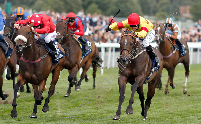 Alpha-Delphini-0005 
 ALPHA DELPHINI (right, Graham Lee) beats MABS CROSS (left) in The Coolmore Nunthorpe Stakes
York 24 Aug 2018 - Pic Steven Cargill / Racingfotos.com