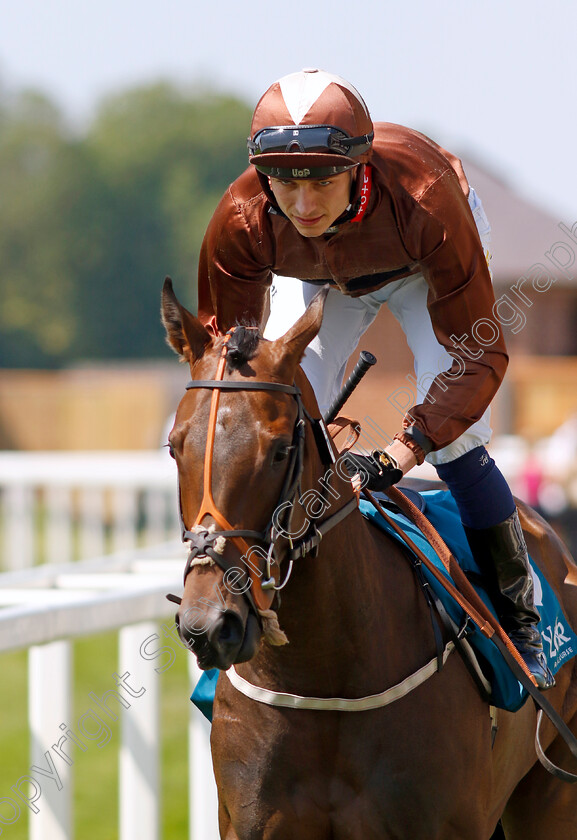 Travel-Candy-0001 
 TRAVEL CANDY (Ben Robinson)
York 16 Jun 2023 - Pic Steven Cargill / Racingfotos.com