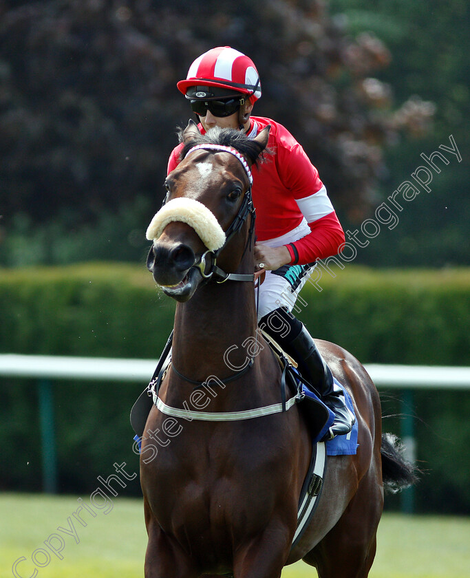 Semoum-0001 
 SEMOUM (Harry Bentley) 
Nottingham 22 May 2018 - Pic Steven Cargill / Racingfotos.com