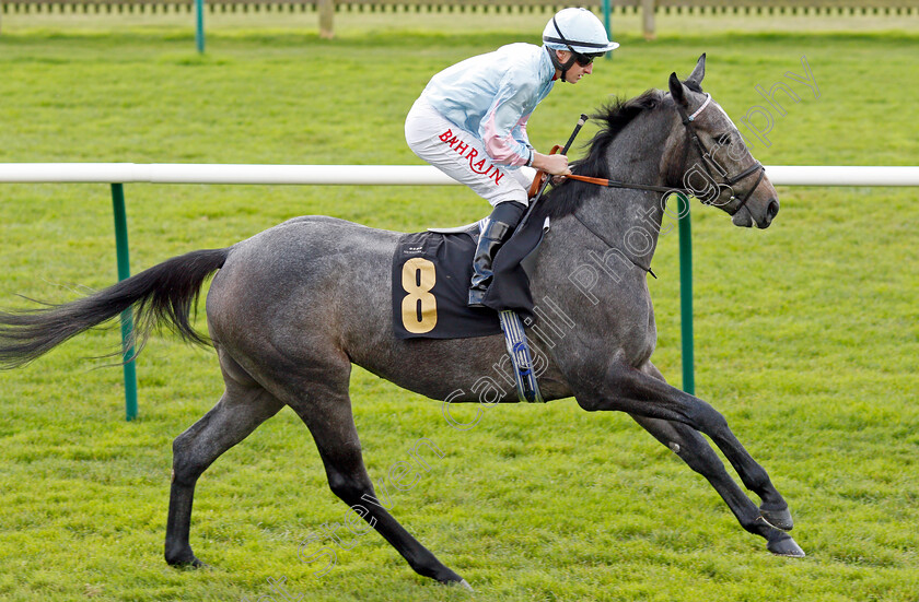 Irresistable 
 IRRESISTABLE (Tom Marquand)
Newmarket 30 Oct 2021 - Pic Steven Cargill / Racingfotos.com