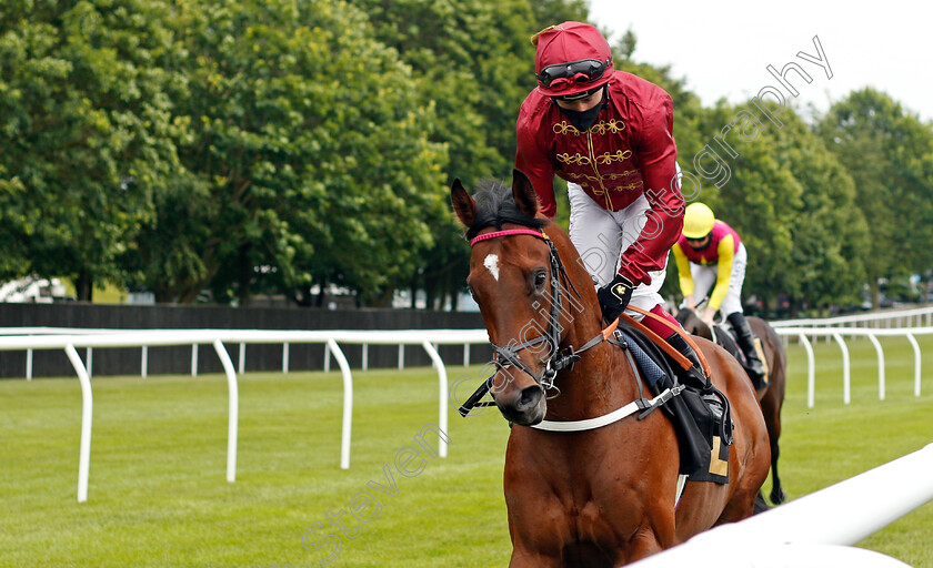 Letmelivemylife-0001 
 LETMELIVEMYLIFE (Oisin Murphy)
Newmarket 24 Jun 2021 - Pic Steven Cargill / Racingfotos.com