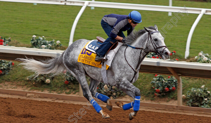 Win-The-Space-0002 
 WIN THE SPACE exercising at Del Mar USA in preparation for The Breeders' Cup Classic 30 Oct 2017 - Pic Steven Cargill / Racingfotos.com