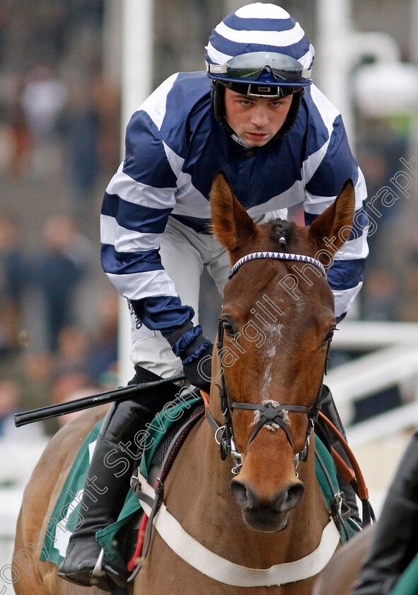 Palacio-0001 
 PALACIO (Dylan Johnston)
Cheltenham 14 Dec 2024 - Pic Steven Cargill / Racingfotos.com