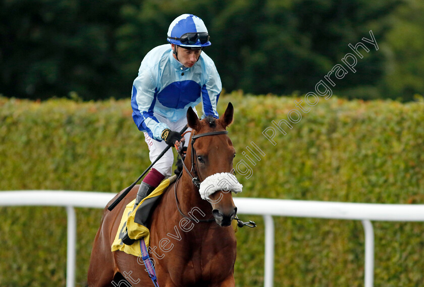 Chemical-0001 
 CHEMICAL (Oisin Murphy)
Kempton 7 Aug 2024 - Pic Steven Cargill / Racingfotos.com