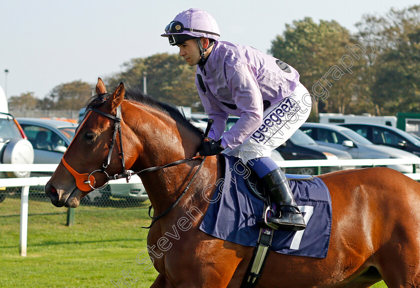 Ilona-Tamara 
 ILONA TAMARA (Marco Ghiani)
Yarmouth 19 Oct 2021 - Pic Steven Cargill / Racingfotos.com