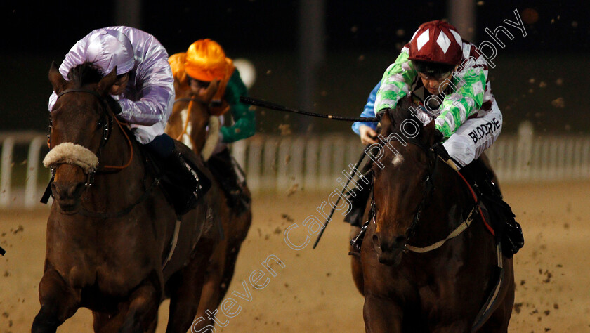 Steel-Train-0005 
 STEEL TRAIN (right, Martin Harley) beats QAFFAAL (left) in The Bet toteexacta At betfred.com Handicap Chelmsford 23 Nov 2017 - Pic Steven Cargill / Racingfotos.com