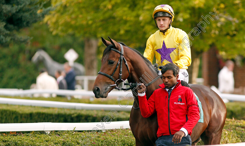 Star-Of-Wells-0001 
 STAR OF WELLS (Tom Marquand)
Kempton 9 Oct 2019 - Pic Steven Cargill / Racingfotos.com