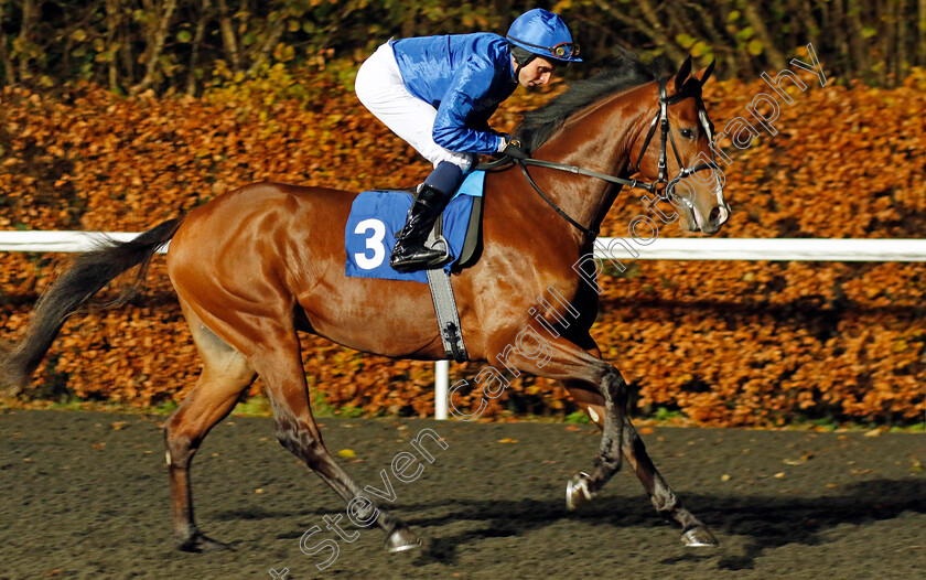 El-Cordobes-0001 
 EL CORDOBES (William Buick)
Kempton 6 Dec 2023 - Pic Steven Cargill / Racingfotos.com