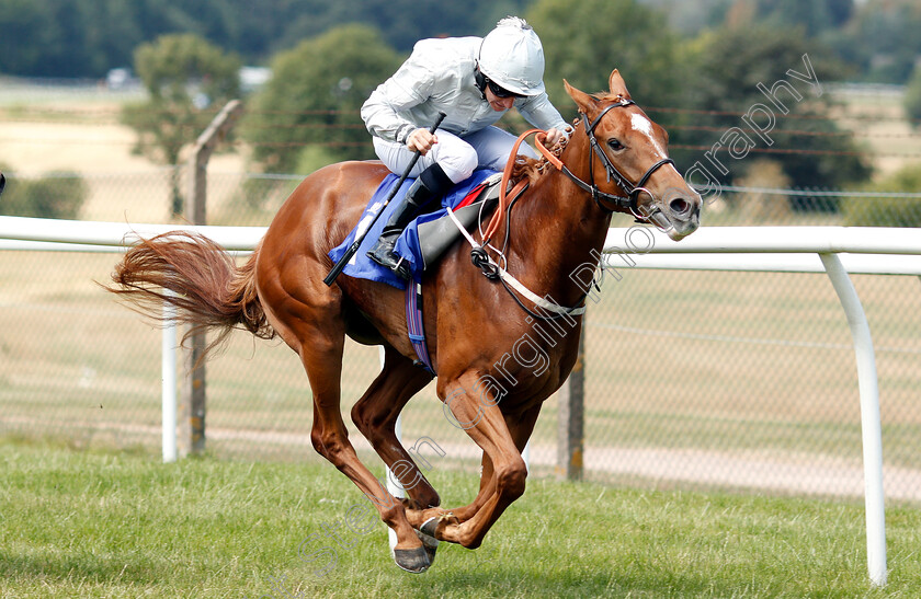 Octave-0007 
 OCTAVE (P J McDonald) wins The Dianne Nursery
Pontefract 10 Jul 2018 - Pic Steven Cargill / Racingfotos.com