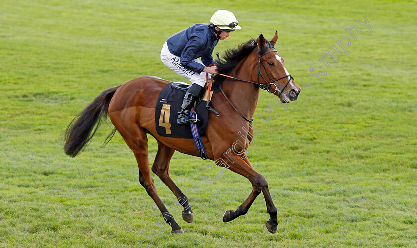 Crystal-Estrella 
 CRYSTAL ESTRELLA (Ryan Moore)
Newmarket 30 Oct 2021 - Pic Steven Cargill / Racingfotos.com