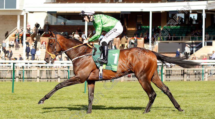 Arthur-Kitt-0001 
 ARTHUR KITT (Richard Kingscote)
Newmarket 29 Sep 2018 - Pic Steven Cargill / Racingfotos.com