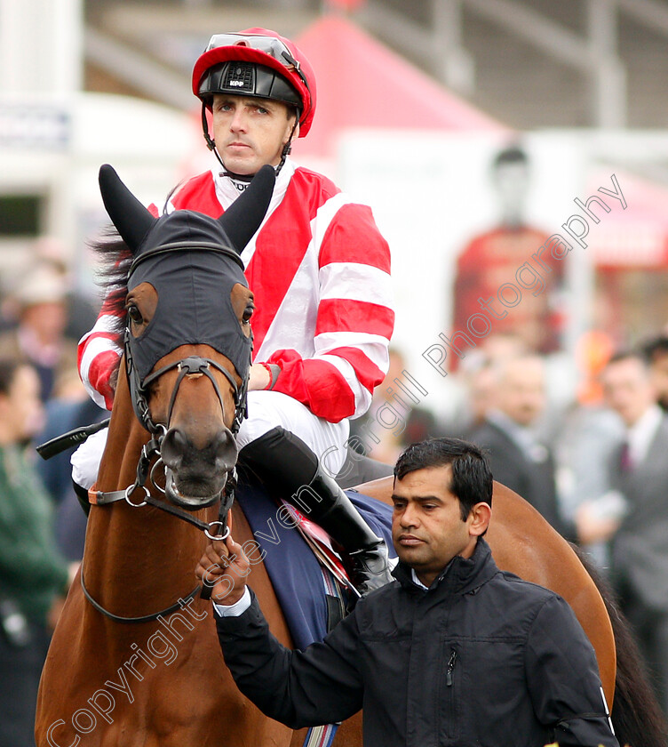 Sheikhzayedroad-0001 
 SHEIKHZAYEDROAD (Martin Harley)
Doncaster 14 Sep 2018 - Pic Steven Cargill / Racingfotos.com