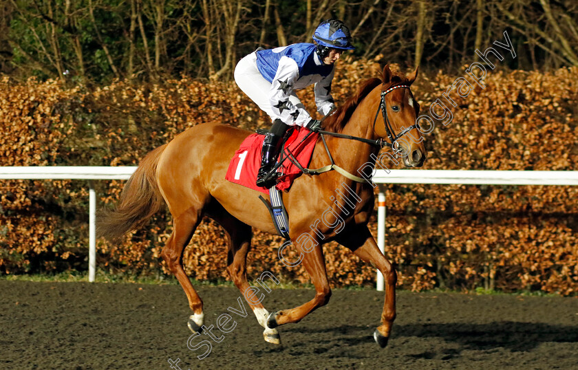 Baby-Belle-0001 
 BABY BELLE (Grace McEntee)
Kempton 14 Feb 2024 - Pic Steven Cargill / Racingfotos.com