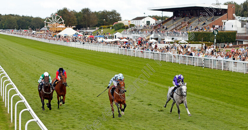 Highland-Rocker-0002 
 HIGHLAND ROCKER (right, Robert Havlin) beats WITHOUT REVENGE (2nd right) in The Chichester City Handicap
Goodwood 29 Aug 2021 - Pic Steven Cargill / Racingfotos.com