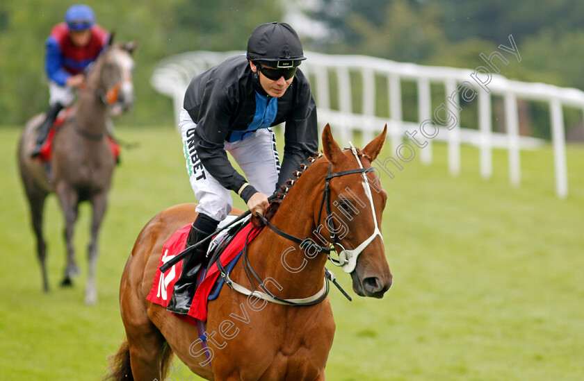 Tagline 
 TAGLINE (Jamie Spencer)
Sandown 21 Jul 2022 - Pic Steven Cargill / Racingfotos.com