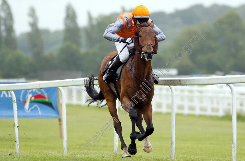 Dutch-Uncle-0005 
 DUTCH UNCLE (Charles Clover) wins The Wiser Academy Amateur Riders Handicap
Newbury 13 Jun 2019 - Pic Steven Cargill / Racingfotos.com