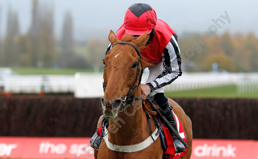 Simply-Ned-0001 
 SIMPLY NED (Brian Hughes)
Cheltenham 17 Nov 2019 - Pic Steven Cargill / Racingfotos.com