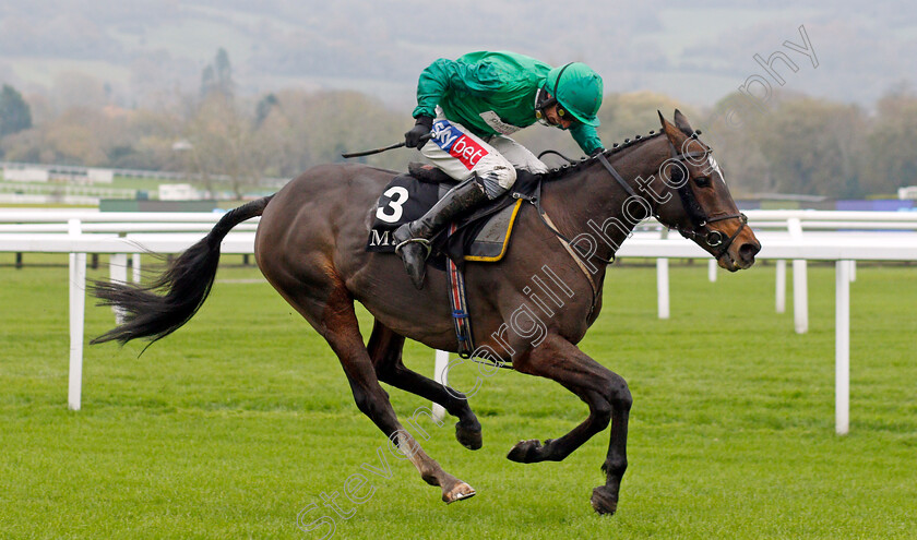 Wholestone-0006 
 WHOLESTONE (Daryl Jacob) wins The mallardjewellers.com Novices Chase
Cheltenham 16 Nov 2019 - Pic Steven Cargill / Racingfotos.com