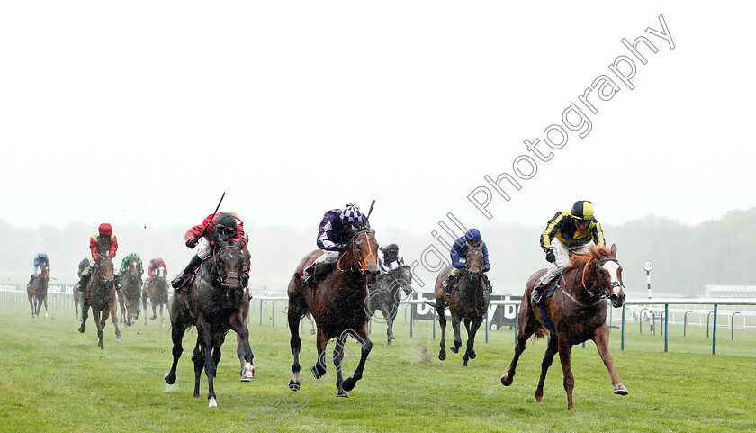 Pour-Me-A-Drink-0002 
 POUR ME A DRINK (right, P J McDonald) beats OUZO (centre) and CARDANO (left) in The Betway Handicap
Haydock 27 Apr 2019 - Pic Steven Cargill / Racingfotos.com