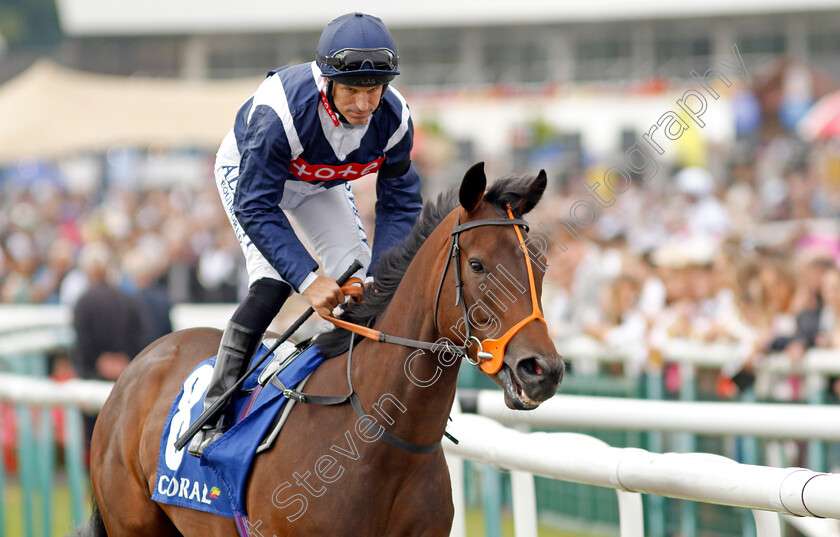 Trillium-0005 
 TRILLIUM (Pat Dobbs) winner of The Coral Flying Childers Stakes
Doncaster 11 Sep 2022 - Pic Steven Cargill / Racingfotos.com