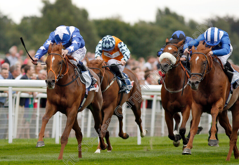 Ginger-Nut-0005 
 GINGER NUT (left, Oisin Murphy) beats MOYASSAR (right) in The Sky Bet Nursery
York 22 Aug 2018 - Pic Steven Cargill / Racingfotos.com