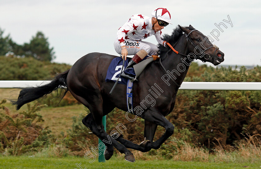 Hajaam-0007 
 HAJAAM (Stevie Donohoe) wins The Philip Southgate Socks & Sandals Handicap Yarmouth 24 Oct 2017 - Pic Steven Cargill / Racingfotos.com