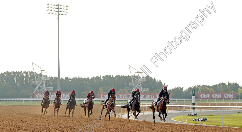 Tower-Of-London,-Auguste-Rodin-and-Luxembourg-0002 
 TOWER OF LONDON leads AUGUSTE RODIN, LUXEMBOURG and co. Aidan O'Brien string training at The Dubai World Cup
Meydan Dubai 28 Mar 2024 - Pic Steven Cargill / Racingfotos.com