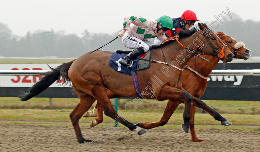 Dark-Alliance-0005 
 DARK ALLIANCE (nearside, Edward Greatrex) beats MADRINHO (farside) in The Play Slots At sunbets.co.uk/vegas Handicap Div1 Lingfield 12 Jan 2018 - Pic Steven Cargill / Racingfotos.com