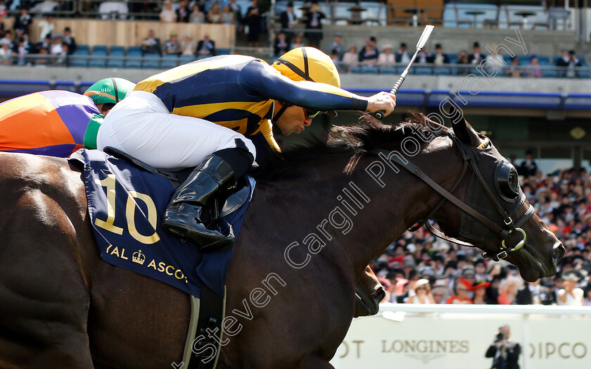 Shang-Shang-Shang-0006 
 SHANG SHANG SHANG (Joel Rosario) wins The Norfolk Stakes
Royal Ascot 21 Jun 2018 - Pic Steven Cargill / Racingfotos.com