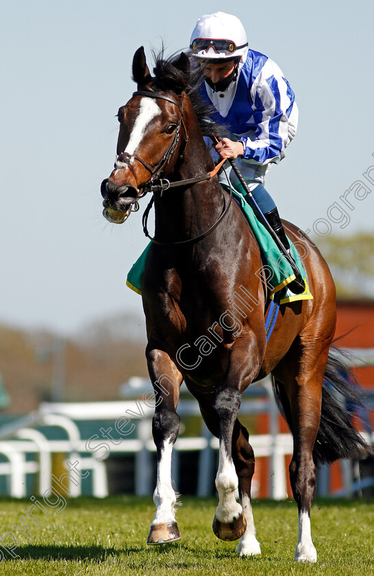 Winter-Reprise-0002 
 WINTER REPRISE (William Buick)
Sandown 23 Apr 2021 - Pic Steven Cargill / Racingfotos.com