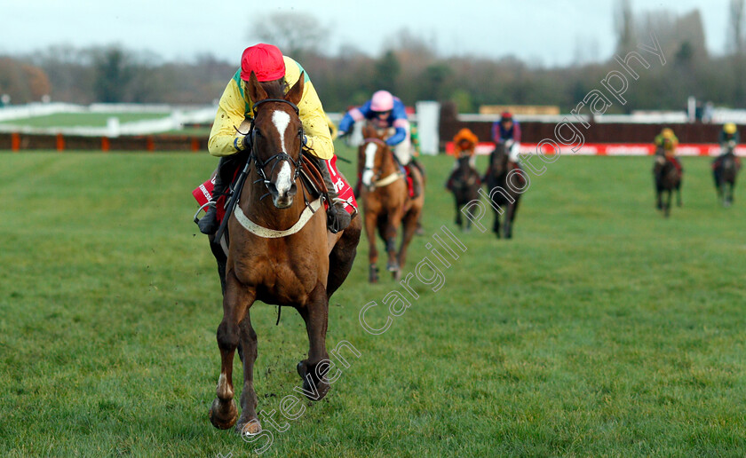 Sizing-Tennessee-0005 
 SIZING TENNESSEE (Tom Scudamore) wins The Ladbrokes Trophy
Newbury 1 Dec 2018 - Pic Steven Cargill / Racingfotos.com