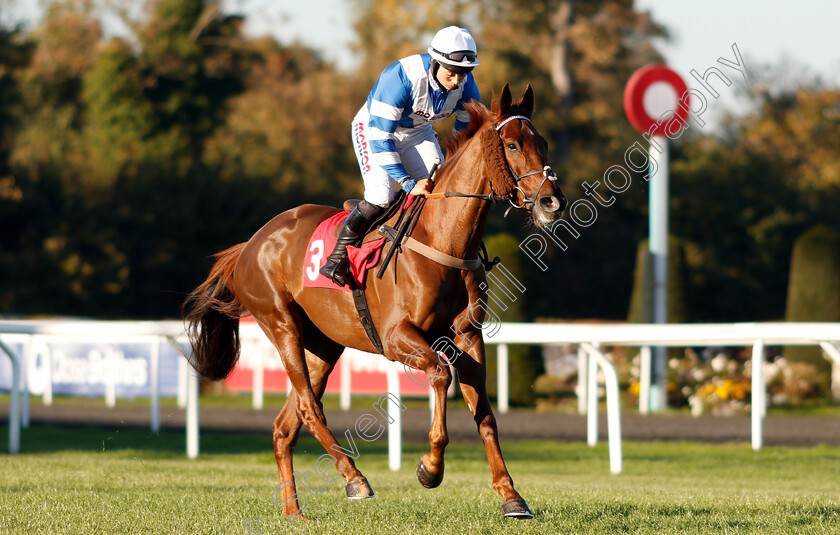 San-Benedeto-0001 
 SAN BENEDETO (Bryony Frost)
Kempton 21 Oct 2018 - Pic Steven Cargill / Racingfotos.com