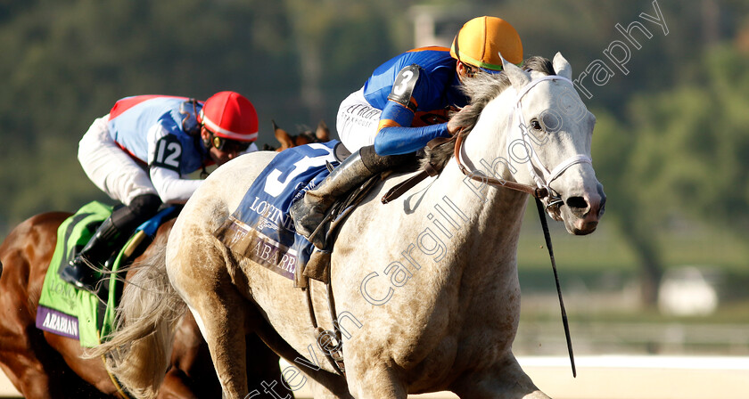 White-Abarrio-0006 
 WHITE ABARRIO (Irad Ortiz) wins The Breeders' Cup Classic
Santa Anita 4 Nov 2023 - pic Steven Cargill / Racingfotos.com