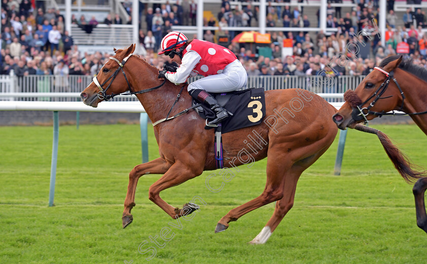 Umming-N -Ahing-0004 
 UMMING N' AHING (Rose Dawes) wins The Castle Rock Neil Kelso Memorial Handicap
Nottingham 22 Apr 2023 - pic Steven Cargill / Becky Bailey / Racingfotos.com