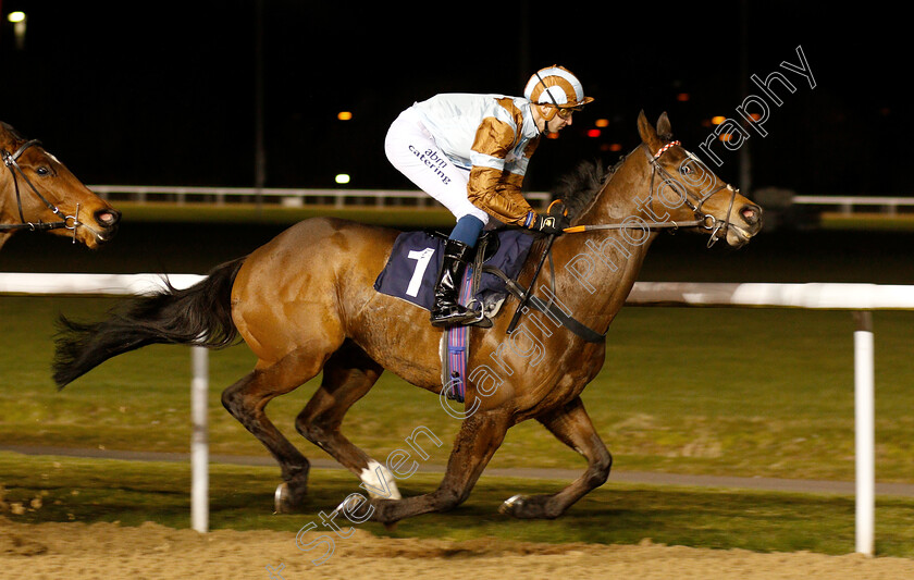 Michele-Strogoff-0001 
 MICHELE STROGOFF (Alistair Rawlinson)
Wolverhampton 26 Feb 2019 - Pic Steven Cargill / Racingfotos.com