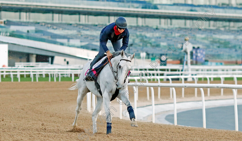 Batwan-0001 
 BATWAN training at the Dubai Racing Carnival 
Meydan 2 Jan 2025 - Pic Steven Cargill / Racingfotos.com