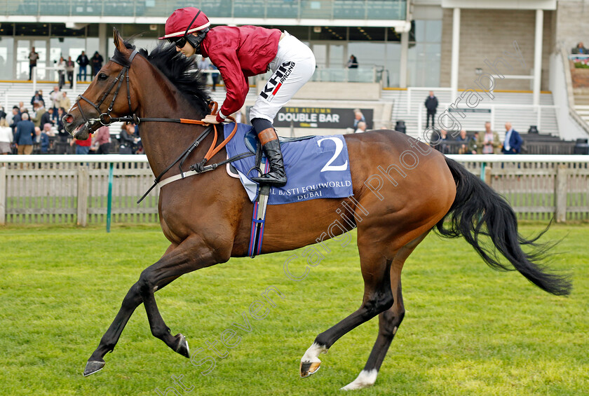 Random-Harvest-0002 
 RANDOM HARVEST (Saffie Osborne)
Newmarket 23 Sep 2022 - Pic Steven Cargill / Racingfotos.com