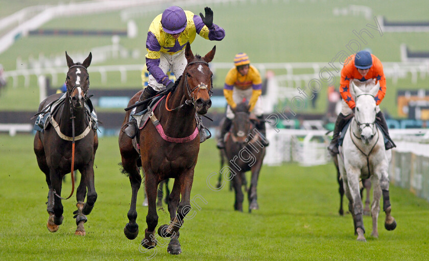 Happy-Diva-0008 
 HAPPY DIVA (Richard Patrick) wins The BetVictor Gold Cup
Cheltenham 16 Nov 2019 - Pic Steven Cargill / Racingfotos.com