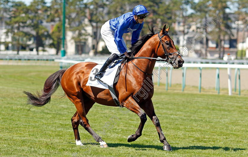 Naval-Crown-0002 
 NAVAL CROWN (James Doyle)
Deauville 7 Aug 2022 - Pic Steven Cargill / Racingfotos.com