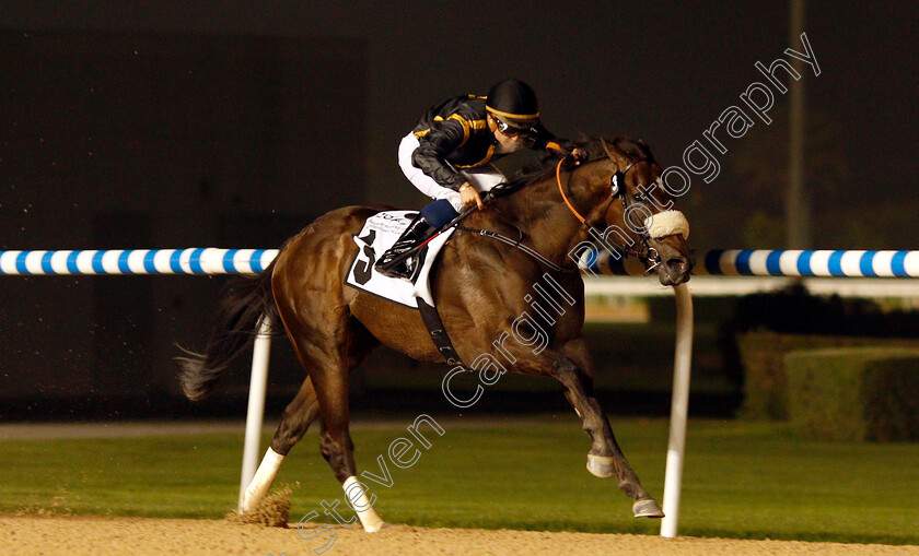 Claim-The-Roses-0002 
 CLAIM THE ROSES (Mickael Barzalona) wins The BGA Billets Trophy Handicap Meydan 25 Jan 2018 - Pic Steven Cargill / Racingfotos.com