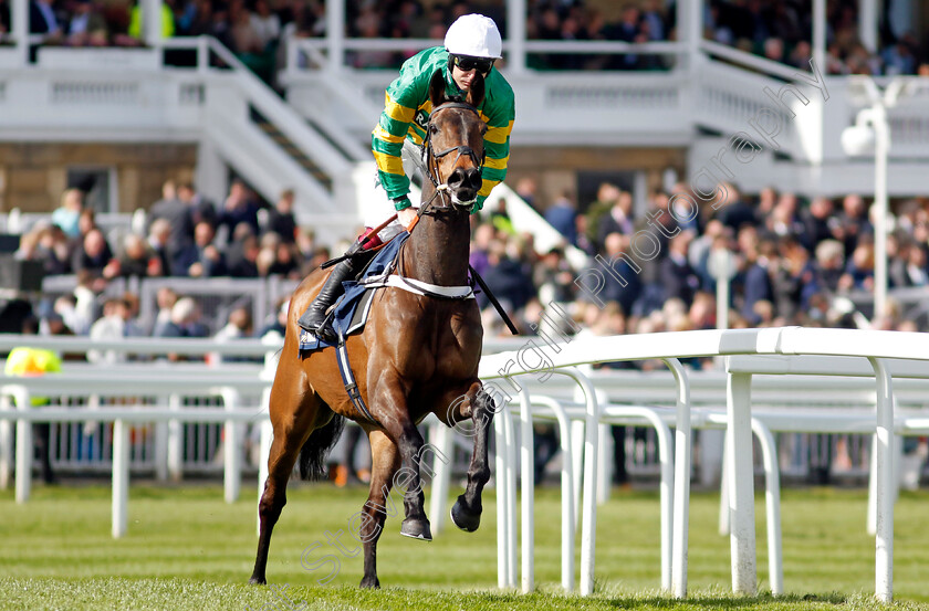 Epatante-0002 
 EPATANTE (Aidan Coleman)
Aintree 13 Apr 2023 - Pic Steven Cargill / Racingfotos.com