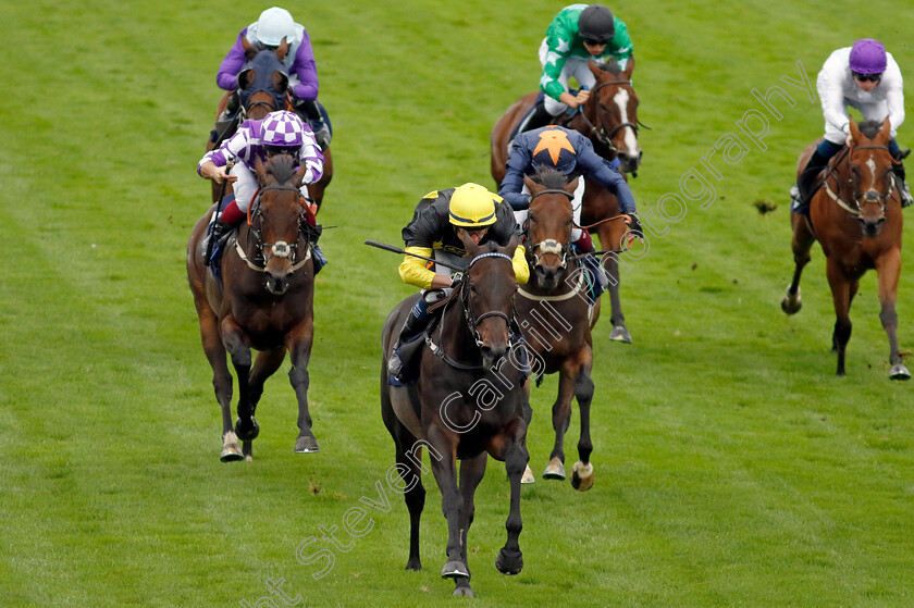 Alcazan-0001 
 ALCAZAN (William Carson) wins The Moulton Nurseries Fillies Handicap
Yarmouth 19 Sep 2023 - Pic Steven Cargill / Racingfotos.com