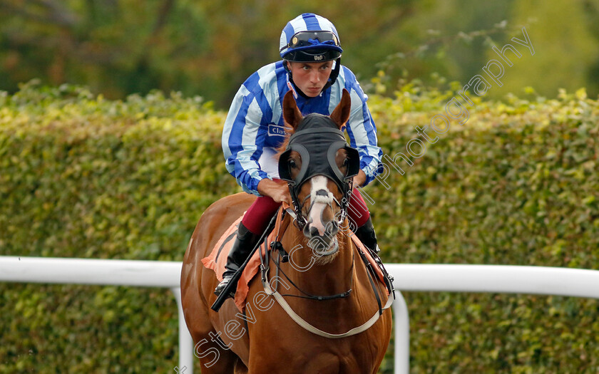 Brooklyn-Express-0001 
 BROOKLYN EXPRESS (Frederick Larson)
Kempton 8 Sep 2023 - Pic Steven Cargill / Racingfotos.com