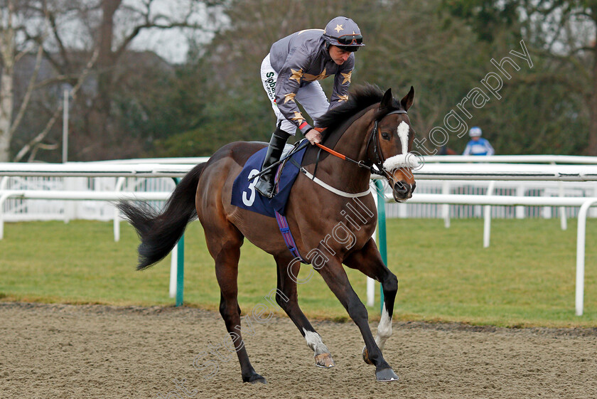 Gabrial-0001 
 GABRIAL (Tony Hamilton) Lingfield 6 Jan 2018 - Pic Steven Cargill / Racingfotos.com