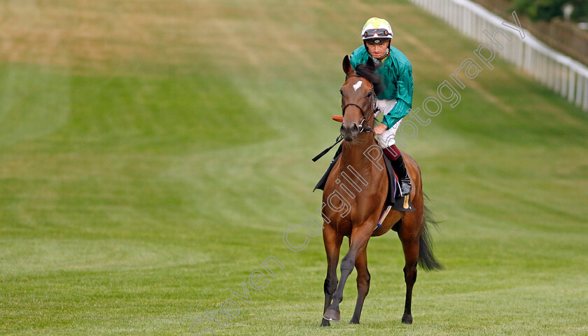 Rechercher 
 RECHERCHER (Rob Hornby)
Newmarket 22 Jul 2022 - Pic Steven Cargill / Racingfotos.com