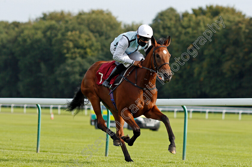 Teodolina-0002 
 TEODOLINA (Sean Levey) wins The Betfair Exchange Free Bet Streak EBF Fillies Novice Stakes
Haydock 4 Sep 2020 - Pic Steven Cargill / Racingfotos.com