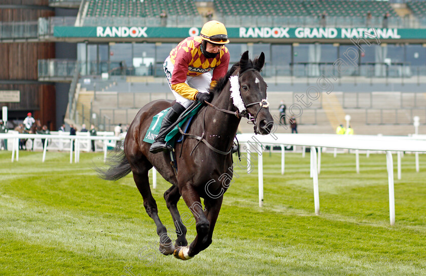 Umbrigado-0002 
 UMBRIGADO (David Noonan)
Aintree 8 Apr 2021 - Pic Steven Cargill / Racingfotos.com