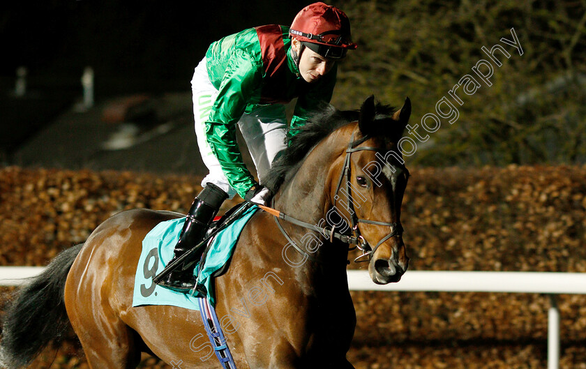 Spanish-Mission-0002 
 SPANISH MISSION (Jamie Spencer)
Kempton 6 Mar 2019 - Pic Steven Cargill / Racingfotos.com